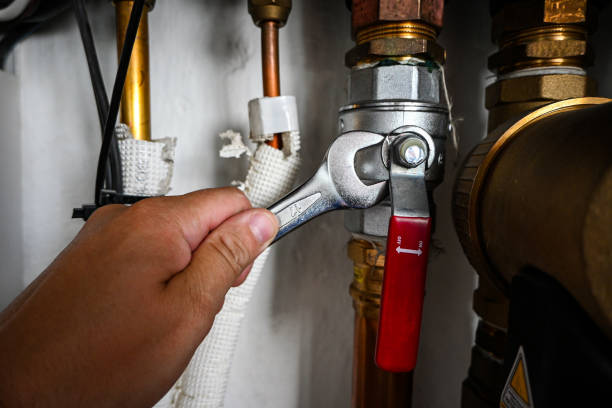 Best Emergency Plumbing Repair  in Coldspring, TX